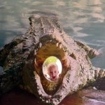 niania - zdjęcie ogłoszenia Kielce - opiekunka poszukiwana