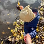 niania - zdjęcie ogłoszenia Zabawa, spacer i obiadek – Chełm, 4/5 dni w tygodniu (9–13)