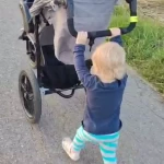 niania - zdjęcie ogłoszenia Szukam opiekunki do 1,5 rocznego dziecka