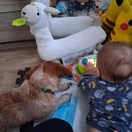 niania - zdjęcie ogłoszenia 7 miesięcy, opieka dorywcza