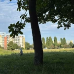 niania - zdjęcie ogłoszenia Opiekunka dla 2 letniej dziewczynki, Gdańsk, Zaspa-Rozstaje