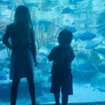 niania - zdjęcie ogłoszenia Potrzebna opiekunka do dzieci