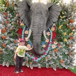 niania - zdjęcie ogłoszenia Zatrudnię opiekunkę do dziecka - chłopiec 3,5 roku