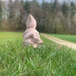 Praca niania, opiekunka