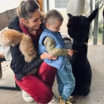 niania - zdjęcie ogłoszenia Poszukujemy opiekunki do pomocy Kraków