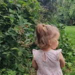 niania - zdjęcie ogłoszenia Szukamy niani dla córki od września 