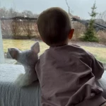 niania - zdjęcie ogłoszenia Poszukujemy opiekunki do pomocy Szreniawa, gm. Komorniki, woj. wielkopolskie