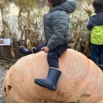 niania - zdjęcie ogłoszenia Szukamy ciepłej niani dla 2,5-letniego chłopca (Bronowice)