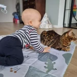 niania - zdjęcie ogłoszenia Kochany maluszek szuka pozytywniej Niani