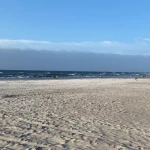niania - zdjęcie ogłoszenia Opiekunka do  nastolatka  z autyzmem  Lublin