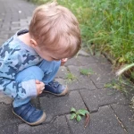 niania - zdjęcie ogłoszenia Szukamy niani dla 2 letniego syna 
