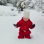 niania - zdjęcie ogłoszenia Szukam opiekunki