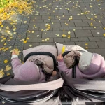 niania - zdjęcie ogłoszenia Niania bliźnięta