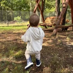 niania - zdjęcie ogłoszenia Szukam opieki do dziecka