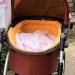 niania - zdjęcie ogłoszenia Pruszcz Gdański - niemowlak, pomoc w opiece