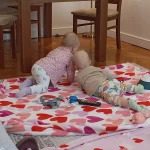 niania - zdjęcie ogłoszenia Dam pracę niani