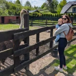 niania - zdjęcie ogłoszenia Opieka nad rocznym synkiem w Warczu