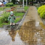 niania - zdjęcie ogłoszenia Opieka nad 2latkiem 