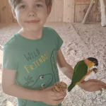 niania - zdjęcie ogłoszenia Szukamy niani  z sercem