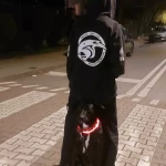 niania - zdjęcie plofirowe użytkownika Oliwia G.