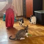 niania - zdjęcie ogłoszenia Rodzice roztańczonej 2 latki też chcą wyjść potańczyć ;)