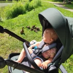 niania - zdjęcie ogłoszenia Niania dla rocznej dziewczynki Siemianowice 