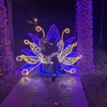 niania - zdjęcie ogłoszenia Potrzebna opiekunka do dziecka