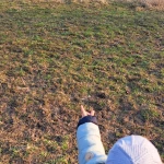 niania - zdjęcie ogłoszenia Potrzebna opieka nad dzieckiem Stary Kamień, gm. Szepietowo, woj. podlaskie