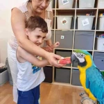 niania - zdjęcie plofirowe użytkownika Alla M.