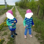 niania - zdjęcie ogłoszenia Opiekunka dla dwójki córek (3 latki) 