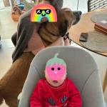 niania - zdjęcie ogłoszenia Szukamy niani do pomocy Warszawa, Mlociny okolice galerii Mlociny. 