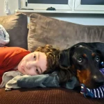 niania - zdjęcie ogłoszenia Opiekunka dla Emilki