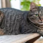 niania - zdjęcie plofirowe użytkownika Ewelina S.