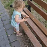 niania - zdjęcie ogłoszenia Opiekunka do współpracy Wrocław