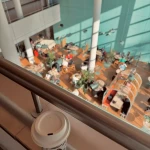 niania - zdjęcie plofirowe użytkownika Katarzyna Z.