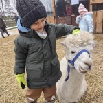 niania - zdjęcie ogłoszenia Szukamy dorywczej opiekunki do dziecka (Gliwice)