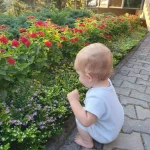 niania - zdjęcie ogłoszenia Poszukiwana opiekunka