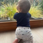 niania - zdjęcie ogłoszenia Warszawa, Mokotów - niania do 10 miesięcznego dziecka