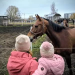 niania - zdjęcie ogłoszenia Opiekunka dla naszej pociechy