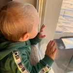 niania - zdjęcie ogłoszenia Poszukujemy Niani dla Kubusia - Gdańsk Osowa