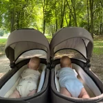niania - zdjęcie ogłoszenia Opieka nad 7-miesięcznymi bliźniętami 