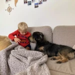 niania - zdjęcie ogłoszenia Poszukujemy opiekunki do współpracy