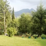 Opiekunka