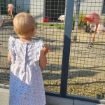 niania - zdjęcie ogłoszenia Poszukujemy niani