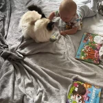niania - zdjęcie ogłoszenia Dam pracę niani