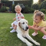 niania - zdjęcie ogłoszenia Poszukujemy opiekunki do dwójki dzieci 
