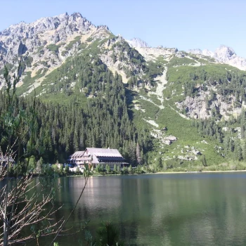 Opiekunka: Agnieszka