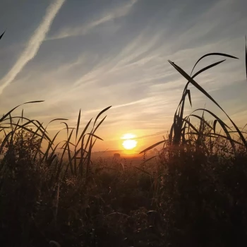 Opiekunka: Urszula Z.