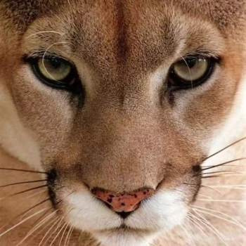 Opiekunka: Magdalena P.