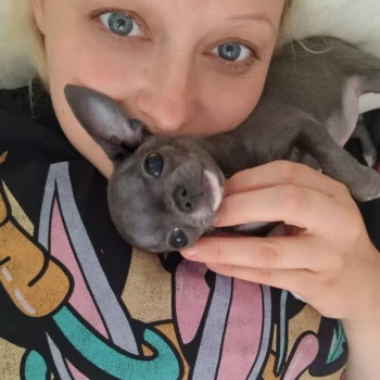 Opiekunka: Katarzyna M.